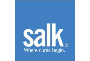 Salk Blackout Curtains